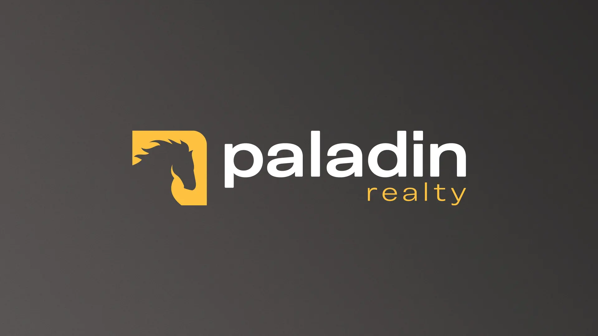 Paladin - Branding | Redesign | Posicionamento de Marca