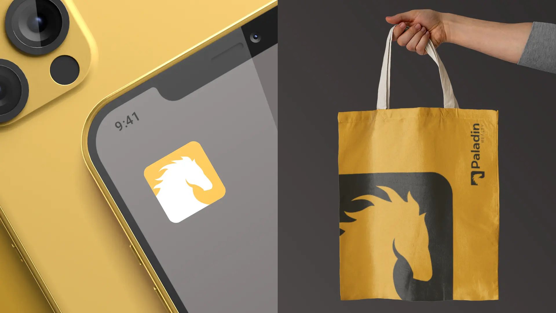 Paladin - Branding | Redesign | Posicionamento de Marca