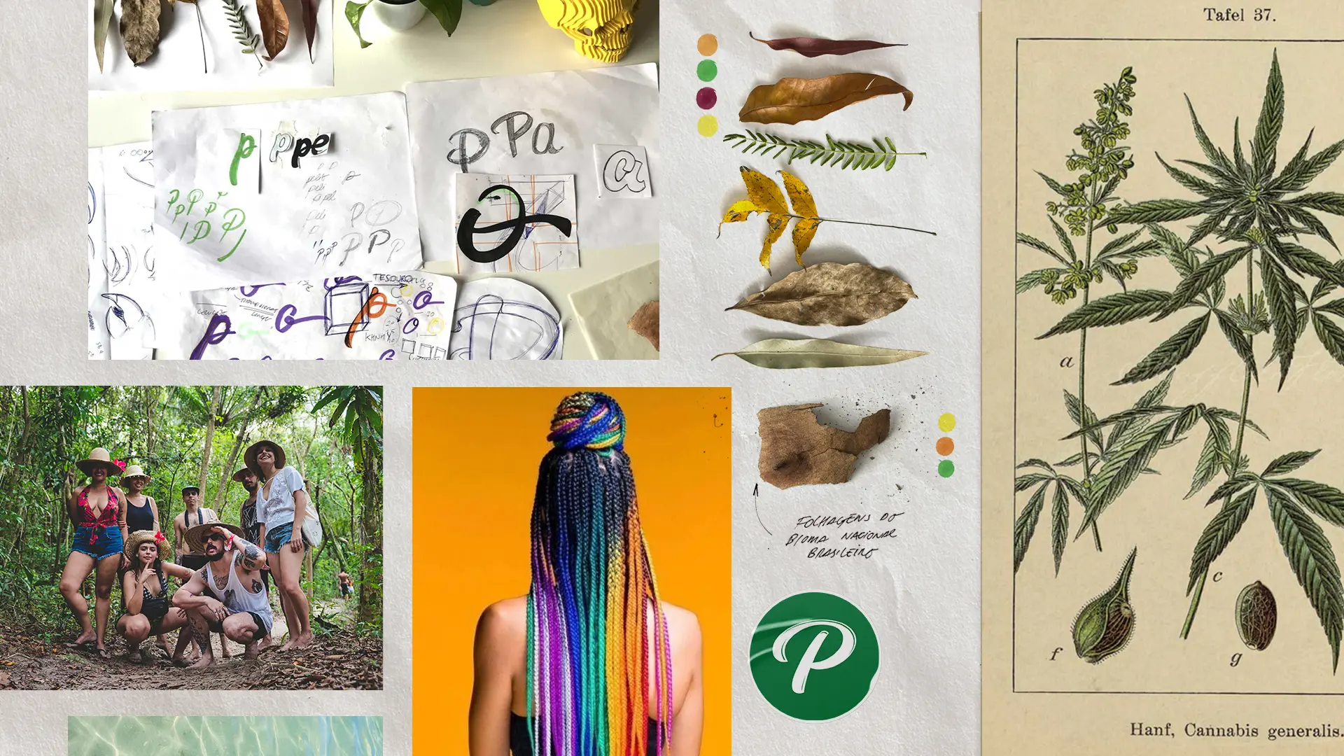 Rebranding da Papelito: Case de Identidade e Embalagem | Capokia! Rebranding e Embalagem Papelito Brasil