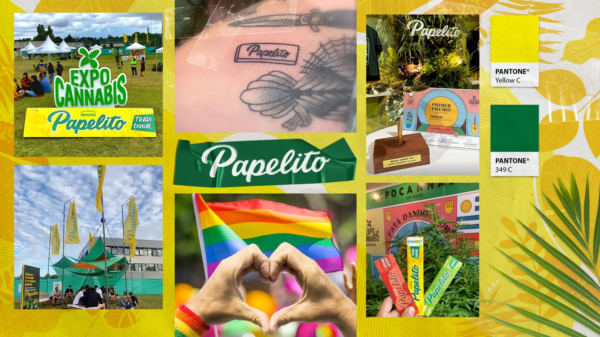 Rebranding da Papelito: Case de Identidade e Embalagem | Capokia! Rebranding e Embalagem Papelito Brasil